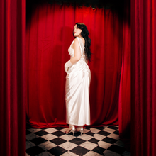 Load image into Gallery viewer, Hollywood Starlet Photoshoot with Costumes, Wigs, & Backdrops!